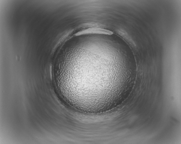 X0000067330014200604030945