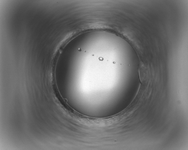 X0000067330015200604030945