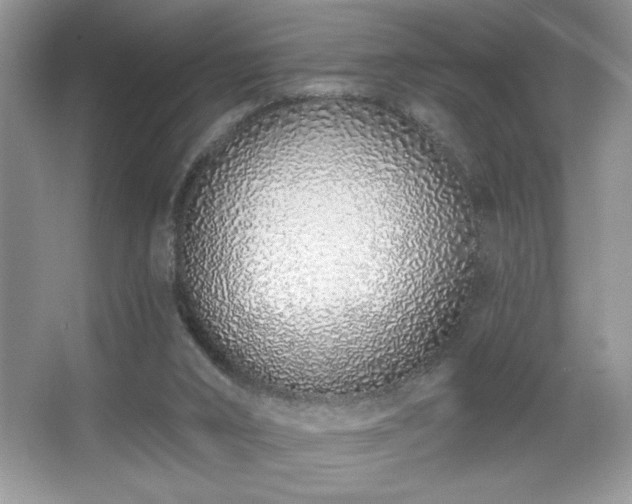 X0000067330016200604030945