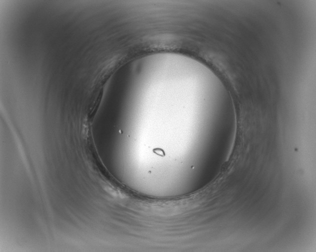 X0000067330017200604030945