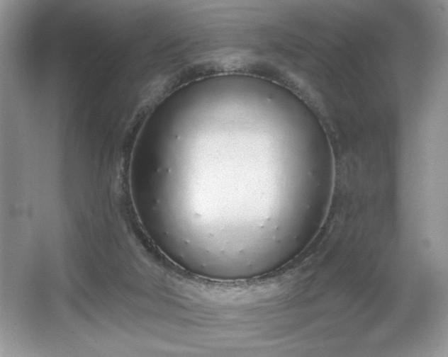 X0000067330018200604030945