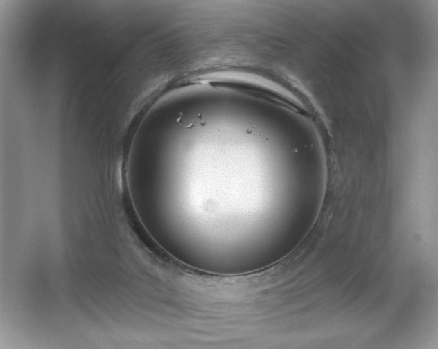 X0000067330019200604030945