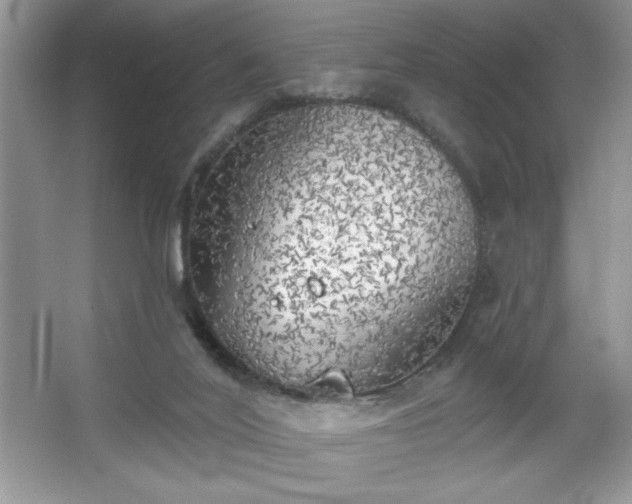 X0000067330020200604030945