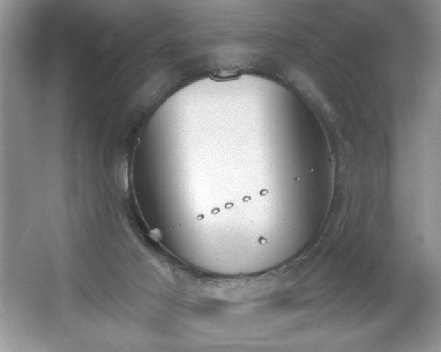 X0000067330021200604030945