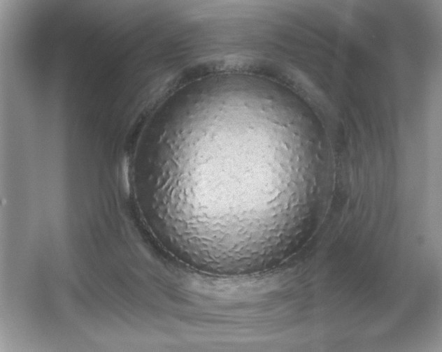 X0000067330022200604030945