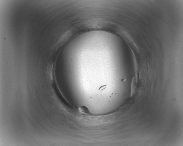 X0000067330023200604030945