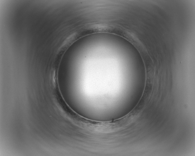 X0000067330024200604030945