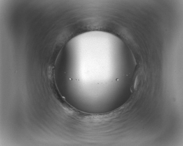 X0000067330025200604030945