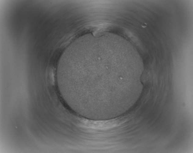 X0000067330026200604030945