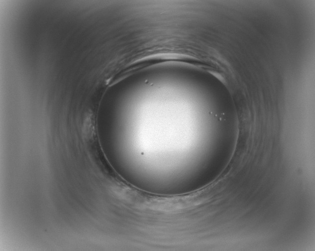 X0000067330029200604030945