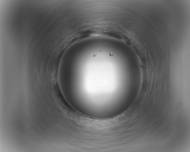 X0000067330031200604030945