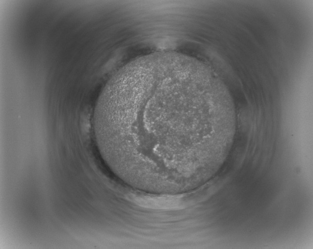 X0000067330032200604030945