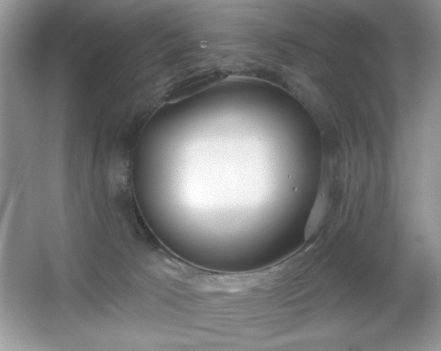 X0000067330033200604030945