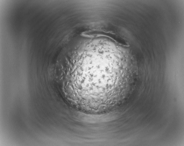 X0000067330034200604030945