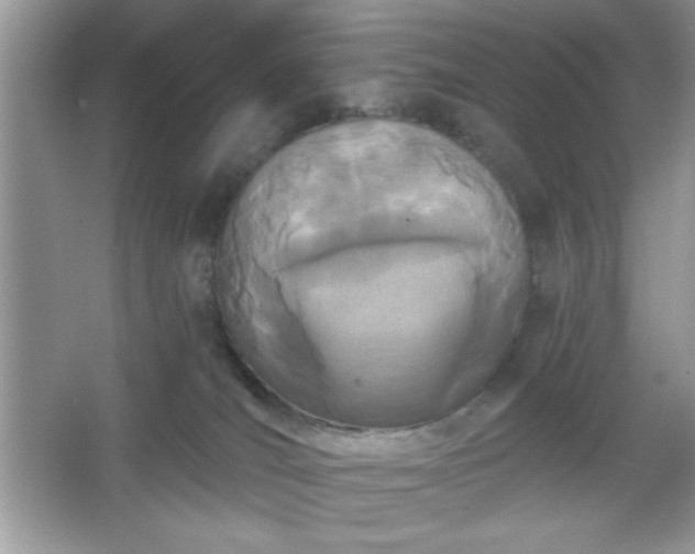 X0000067330036200604030945