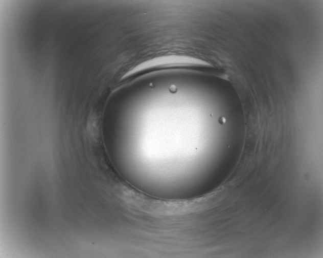 X0000067330037200604030945