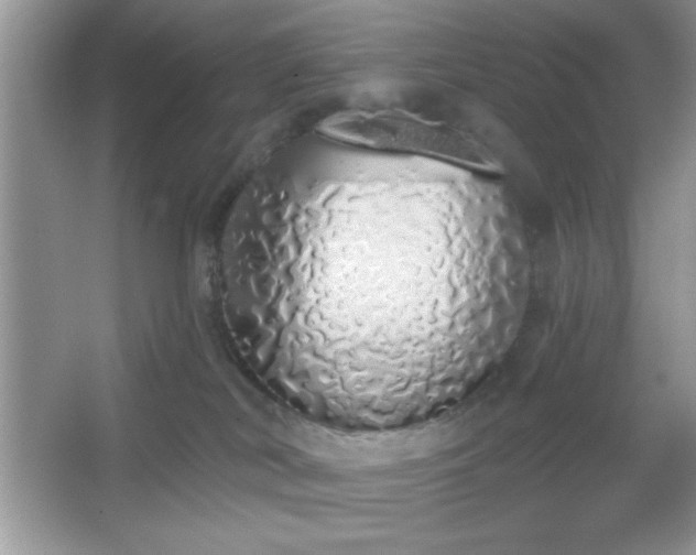 X0000067330038200604030945