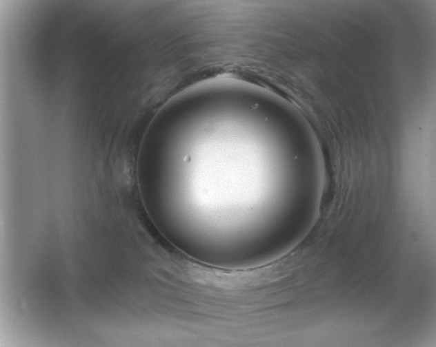 X0000067330039200604030945