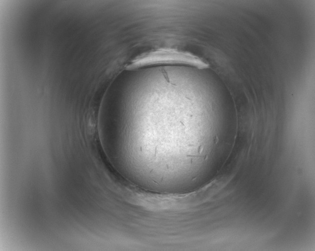 X0000067330040200604030945