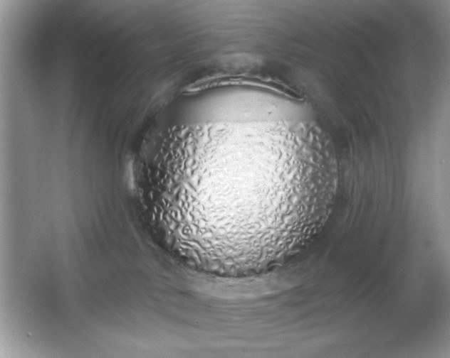 X0000067330042200604030944