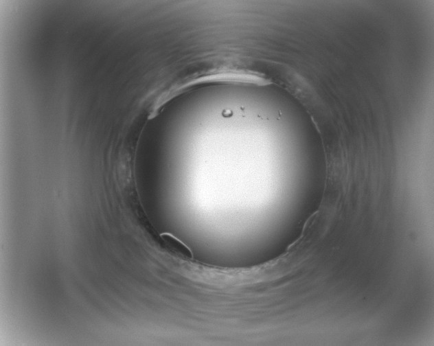 X0000067330043200604030944