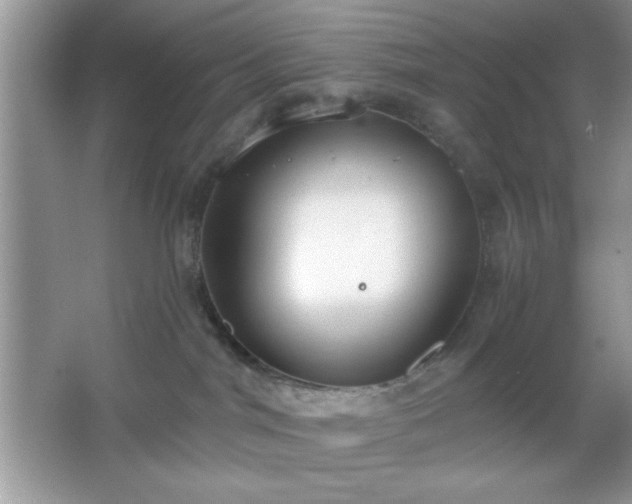 X0000067330044200604030944