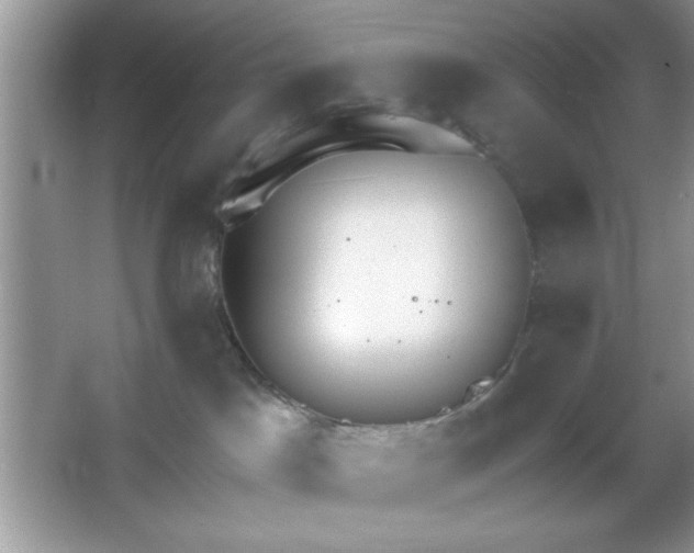 X0000067330045200604030944