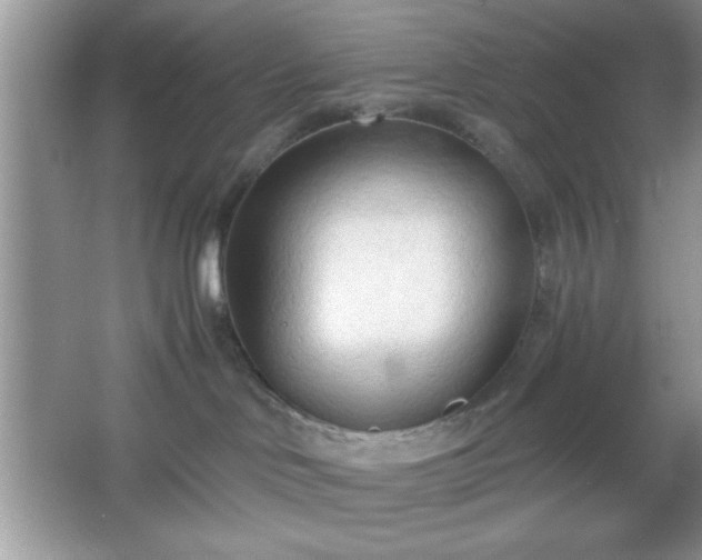 X0000067330046200604030944