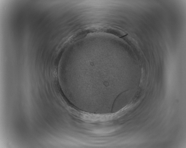 X0000067330048200604030944