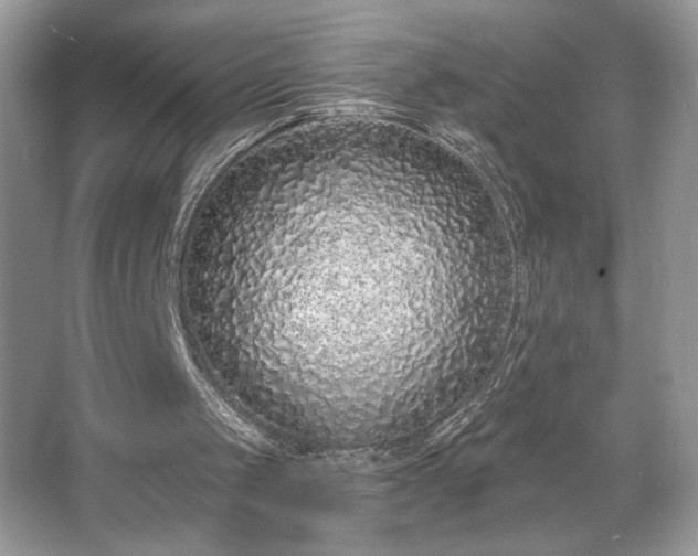 X0000067330049200604030944