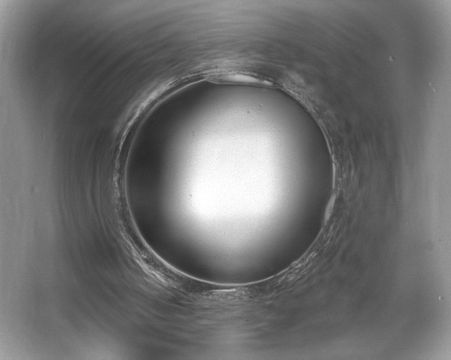 X0000067330050200604030944