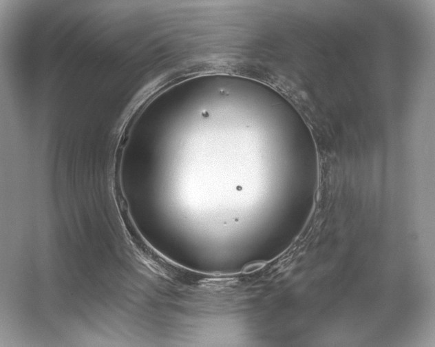 X0000067330051200604030944