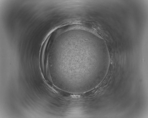 X0000067330052200604030944