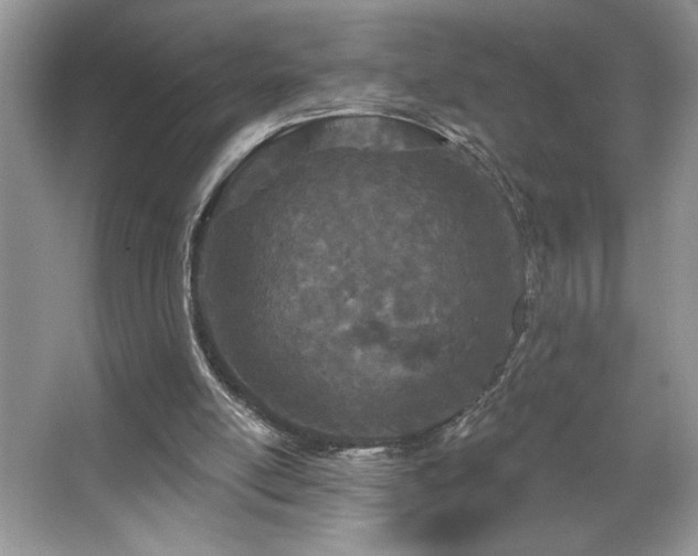 X0000067330054200604030944