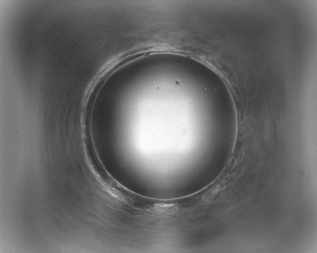 X0000067330055200604030944