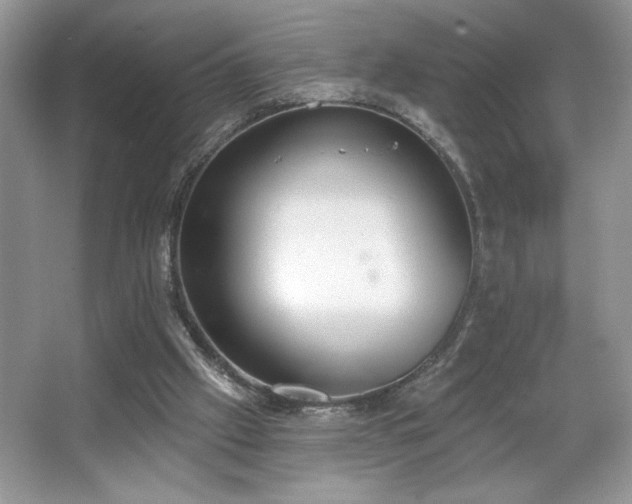 X0000067330057200604030944