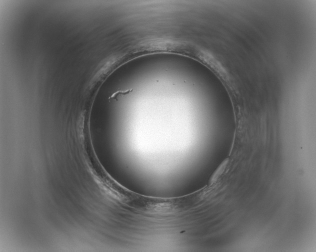 X0000067330058200604030944