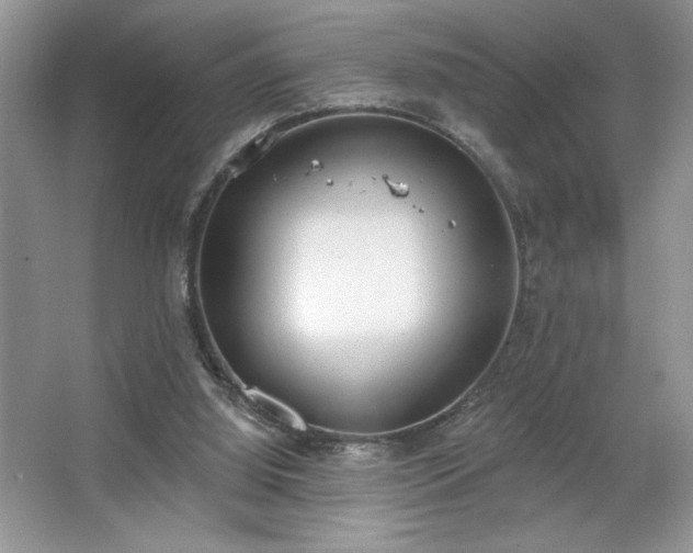 X0000067330060200604030944