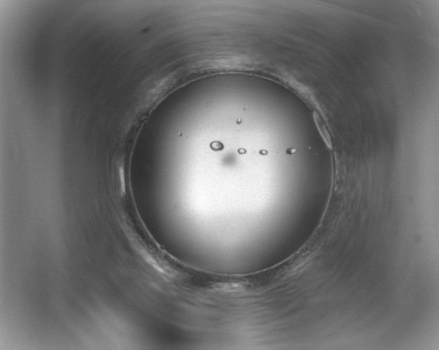 X0000067330061200604030944