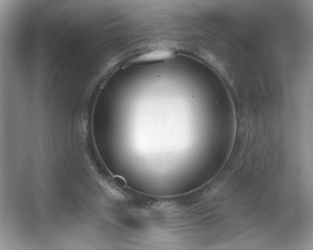 X0000067330063200604030944