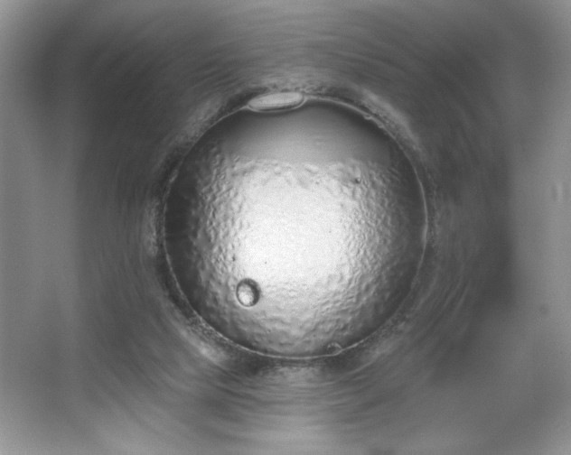 X0000067330065200604030944