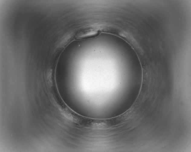 X0000067330066200604030944