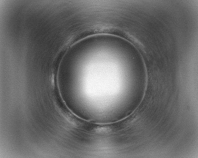 X0000067330067200604030944