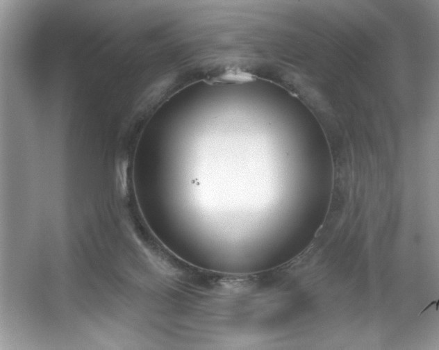 X0000067330070200604030944