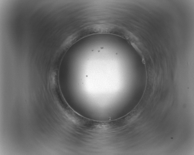 X0000067330071200604030944