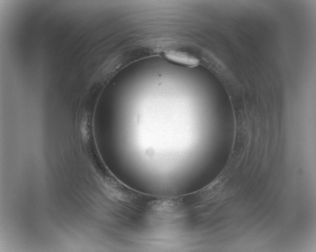 X0000067330074200604030944