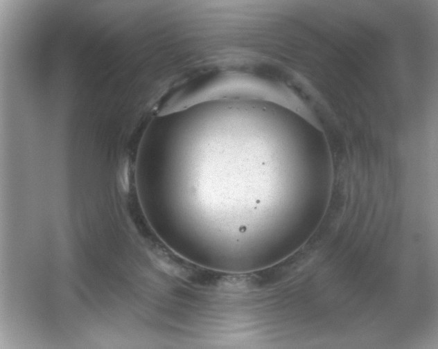 X0000067330076200604030944