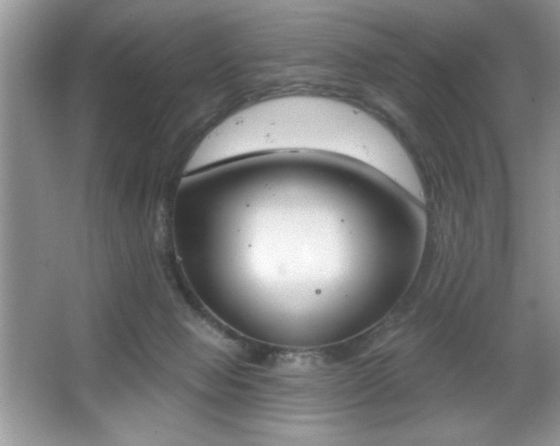 X0000067330077200604030944