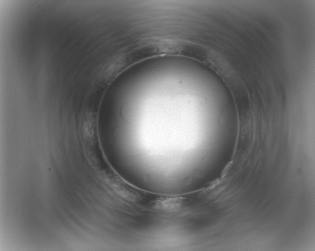 X0000067330078200604030944