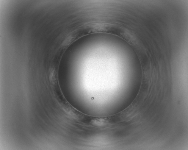 X0000067330079200604030944